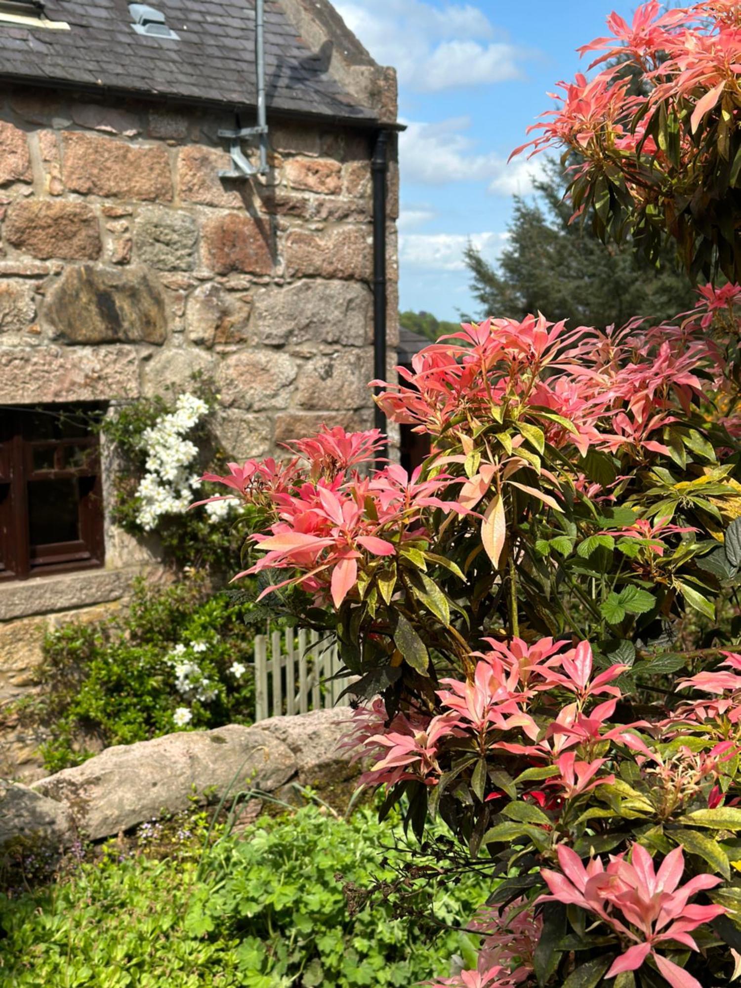 Awakening Alchemy Retreat Centre Bed & Breakfast Inverurie Bagian luar foto