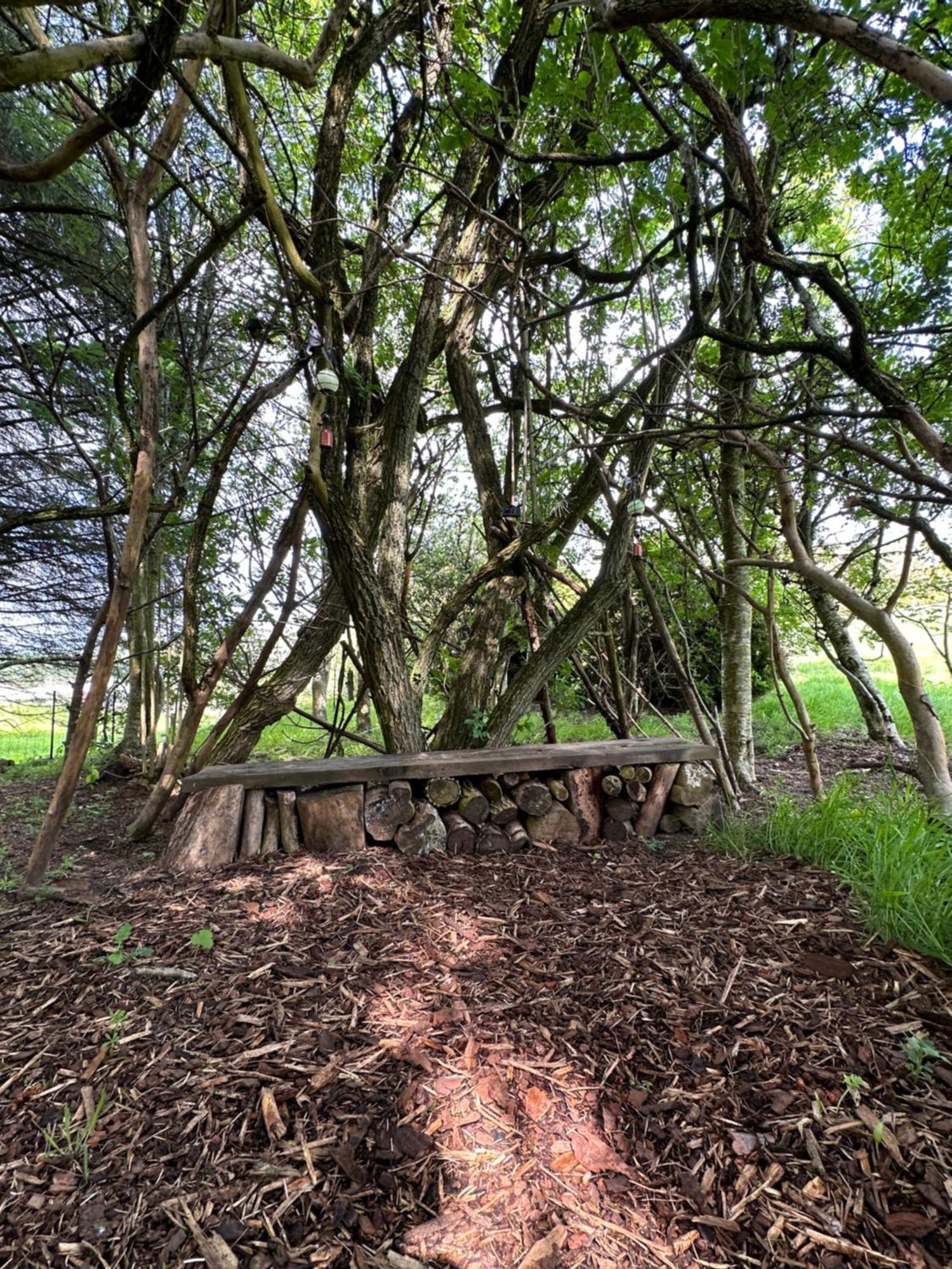 Awakening Alchemy Retreat Centre Bed & Breakfast Inverurie Bagian luar foto