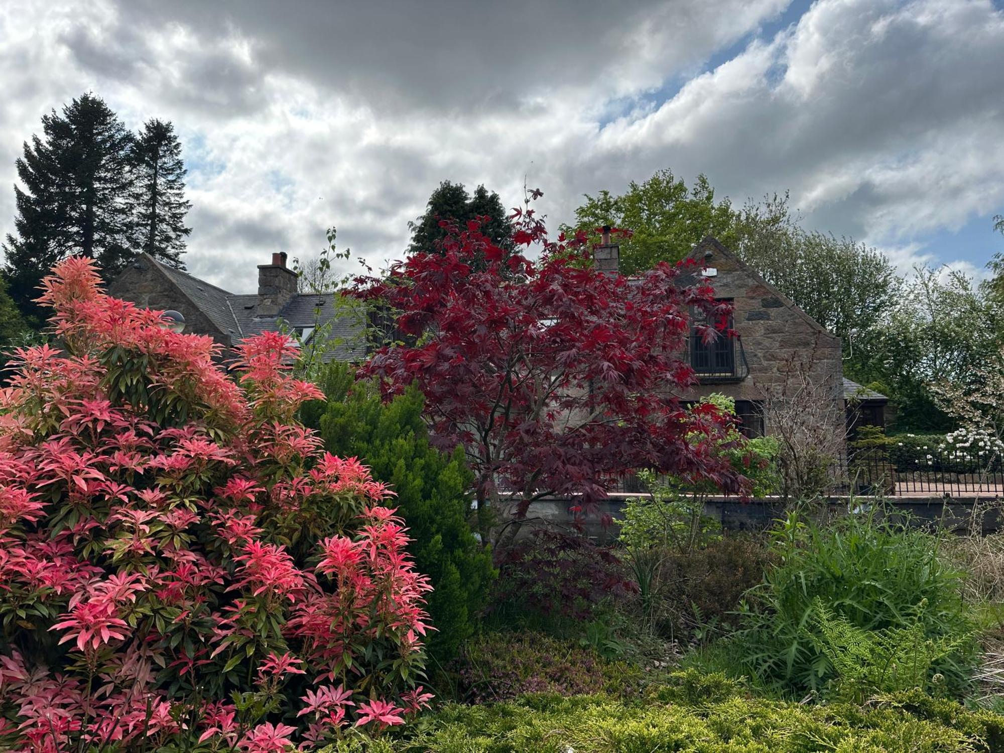 Awakening Alchemy Retreat Centre Bed & Breakfast Inverurie Bagian luar foto
